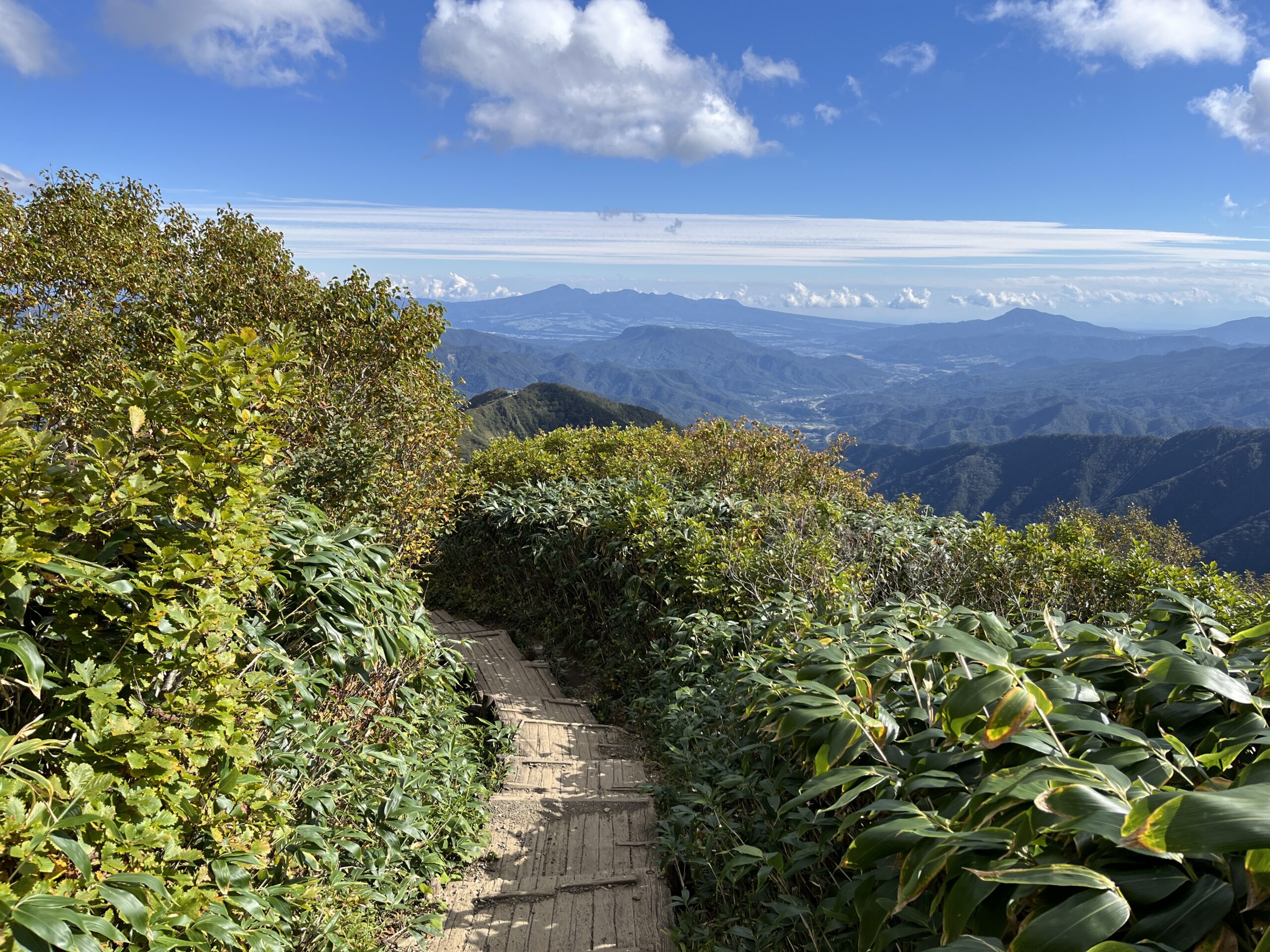 笹と木々の間を下る天神尾根の木道と遠くの山並み